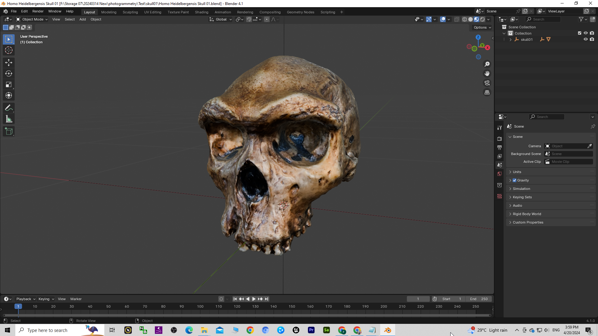 Homo Heidelbergensis Skull 01