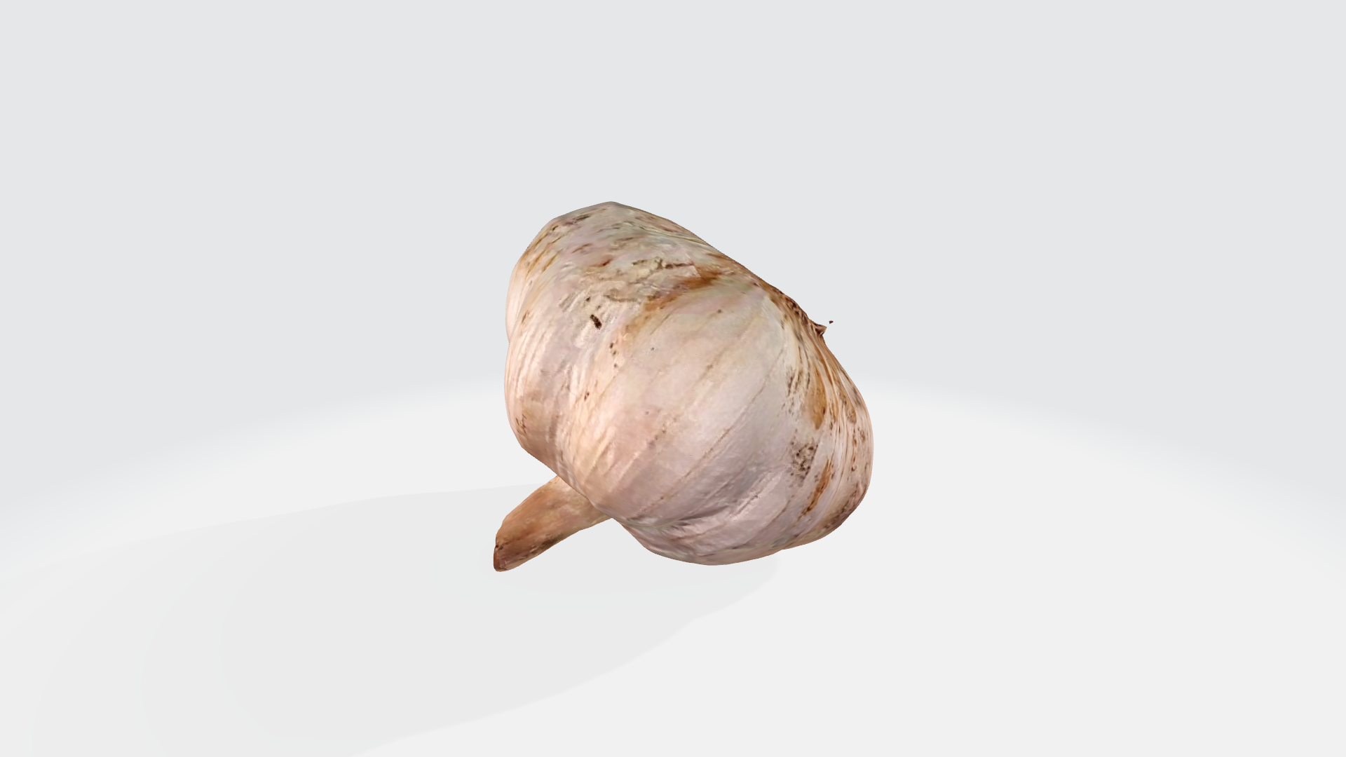 garlic 01 3D Scan & Model