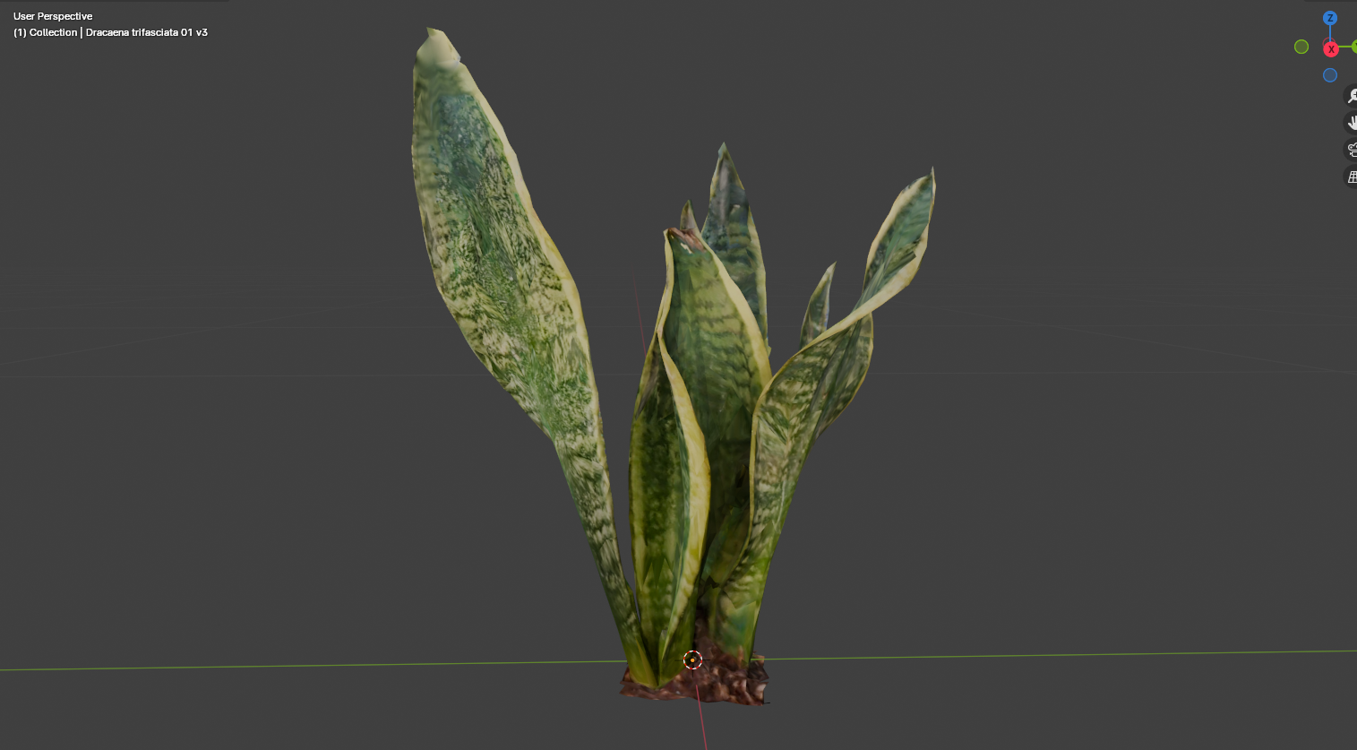 Dracaena trifasciata 01 plant 3D scanned model