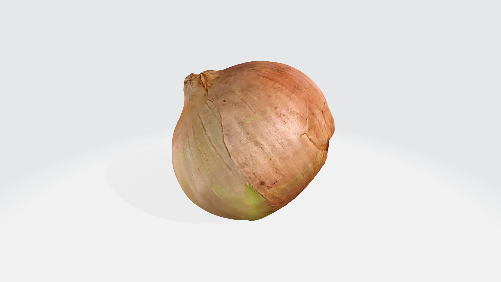 onion 02