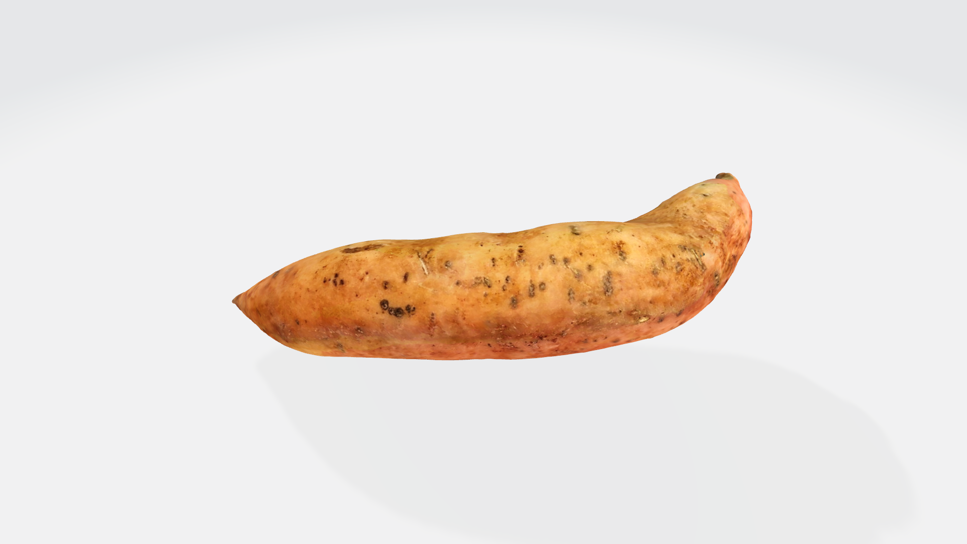 sweet potato 01 3D model & scan
